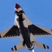 Diamond in the sky: Thunderbirds fly over the Luke Days 2026 airshow