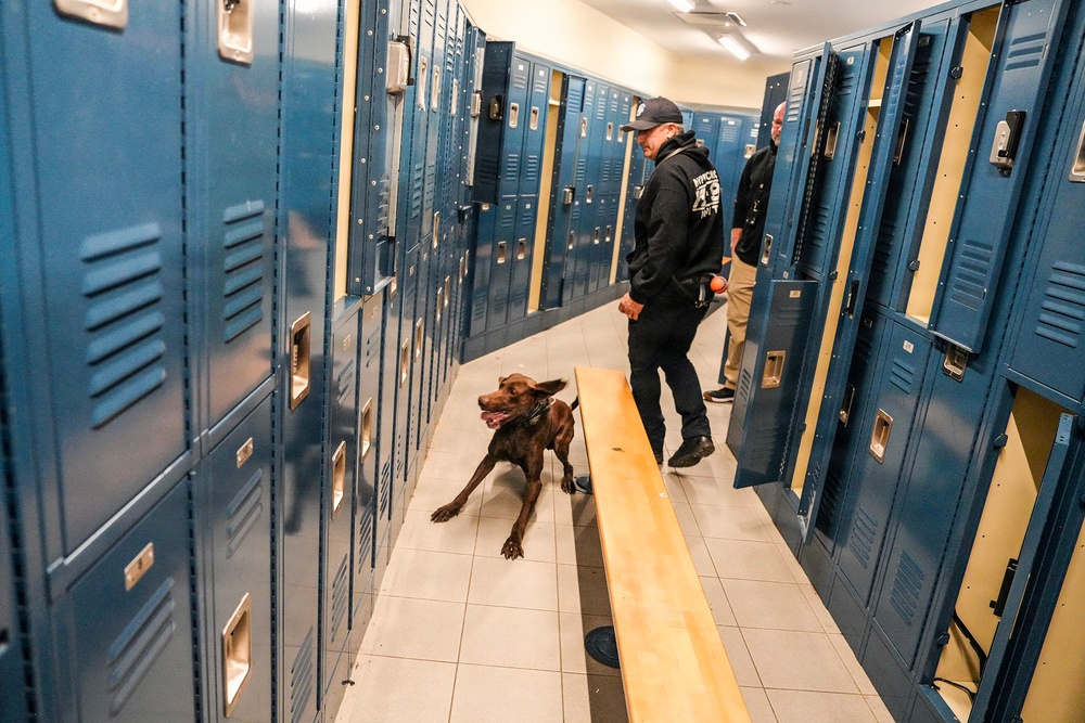 Fort Hamilton Hosts TSA‑Led Multi‑Agency K‑9 Readiness Training