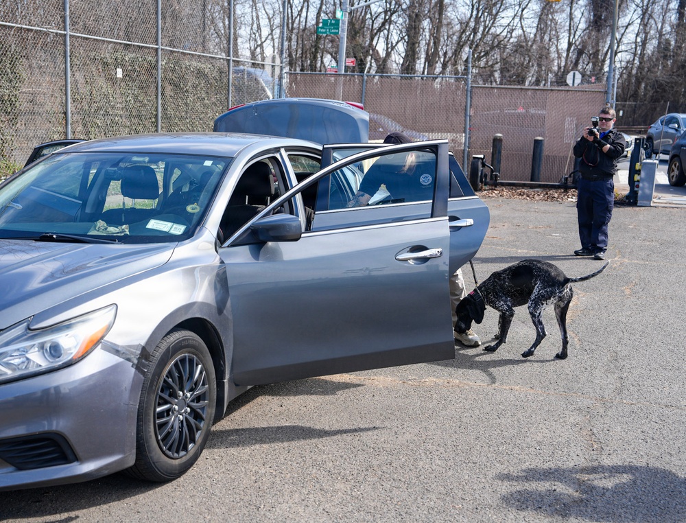 Fort Hamilton Hosts TSA Led Multi Agency K 9 Readiness Training