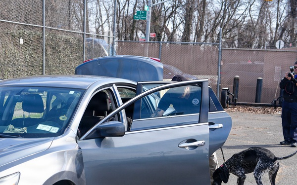 Fort Hamilton Hosts TSA Led Multi Agency K 9 Readiness Training