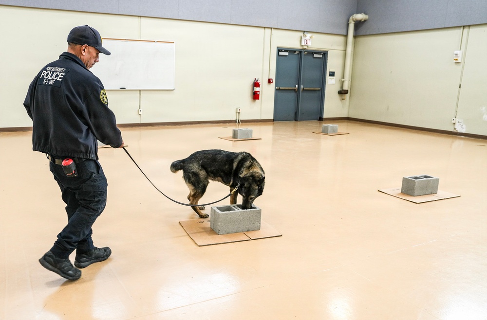 Fort Hamilton Hosts TSA Led Multi Agency K 9 Readiness Training