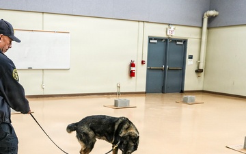 Fort Hamilton Hosts TSA Led Multi Agency K 9 Readiness Training