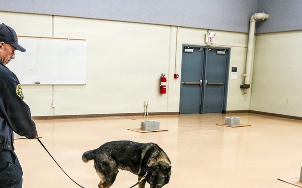 Fort Hamilton Hosts TSA Led Multi Agency K 9 Readiness Training