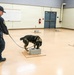Fort Hamilton Hosts TSA Led Multi Agency K 9 Readiness Training