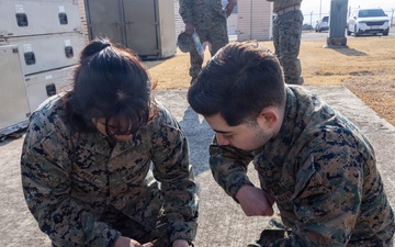 U.S. Marines enhance battlefield medical readiness