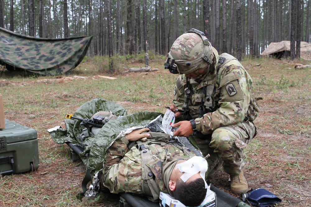 Soldiers of the 3-265th ADA hone military skills at JRTC