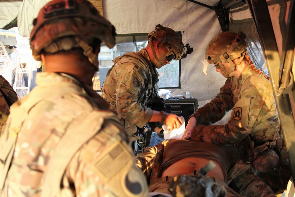 Soldiers of the 3-265th ADA hone military skills at JRTC