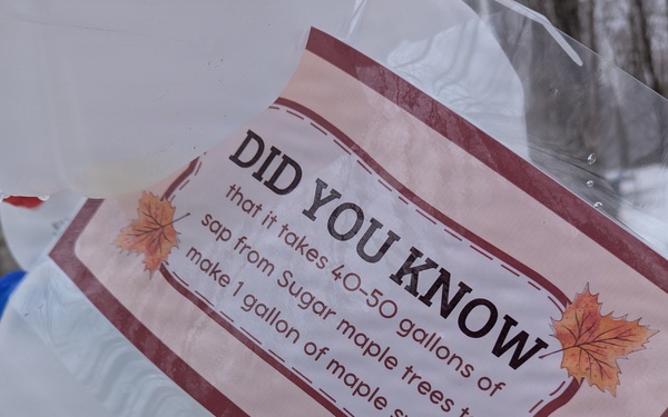 Fort Drum celebrates Maple Days