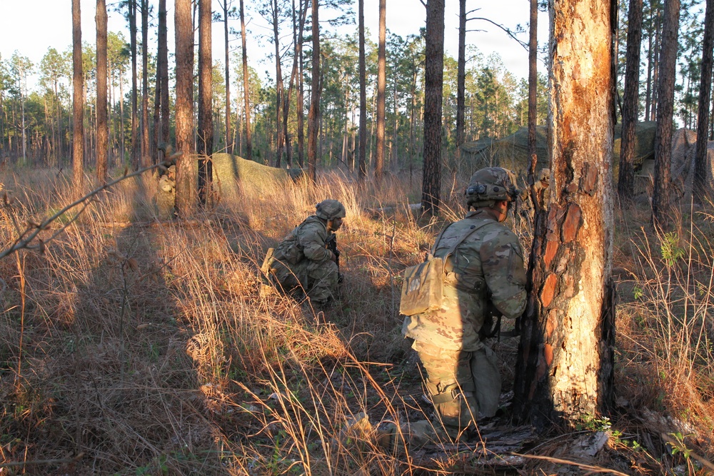 Soldiers of the 3-265th ADA hone military skills at JRTC