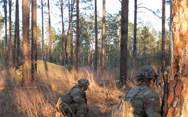 Soldiers of the 3-265th ADA hone military skills at JRTC