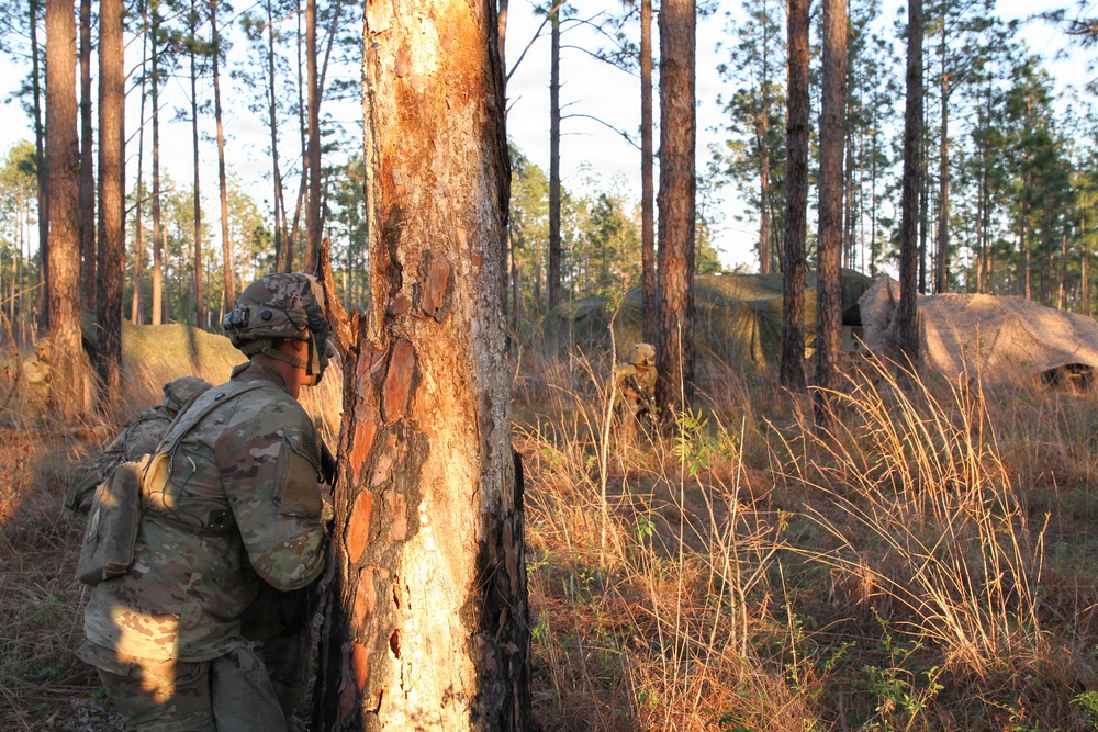 Soldiers of the 3-265th ADA hone military skills at JRTC