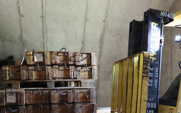 Ammunition Surveillance at Blue Grass Army Depot