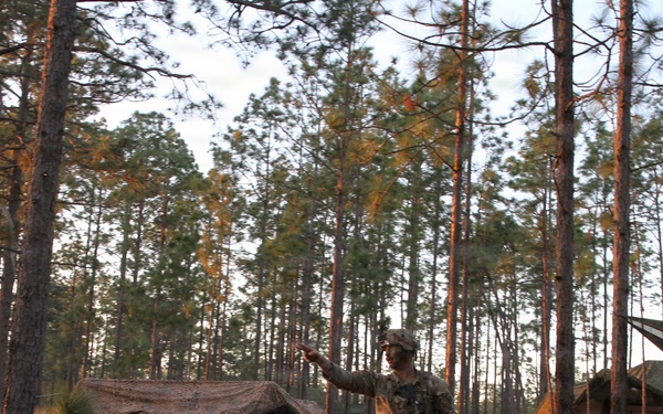 Soldiers of the 3-265th ADA hone military skills at JRTC
