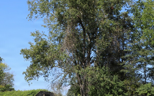Exterior of an earth-covered magazine at Blue Grass Army Depot