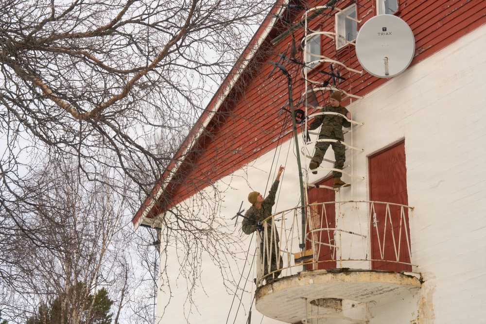 Lance Cpl. Ally Williams; 2nd MLG Warrior of the Week