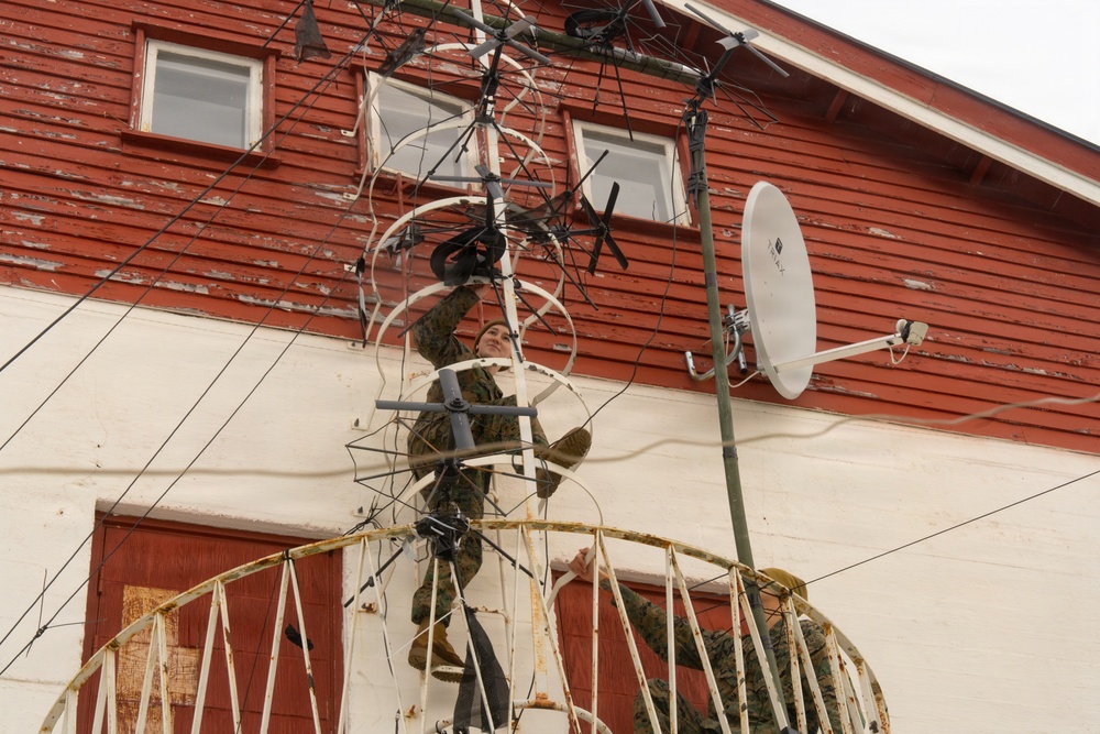 Lance Cpl. Ally Williams; 2nd MLG Warrior of the Week