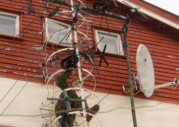 Lance Cpl. Ally Williams; 2nd MLG Warrior of the Week