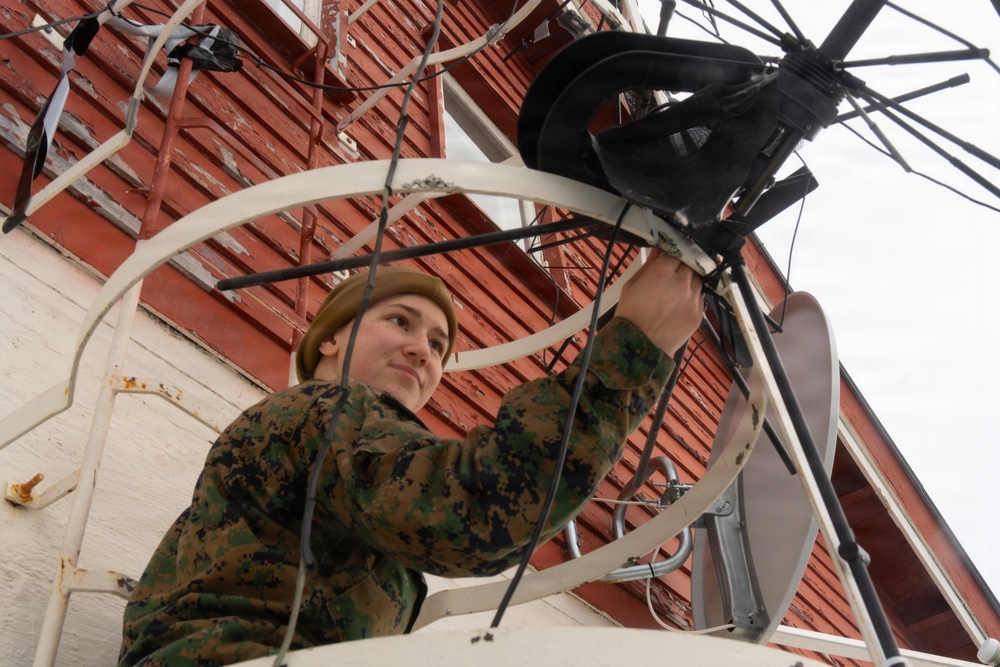 Lance Cpl. Ally Williams; 2nd MLG Warrior of the Week