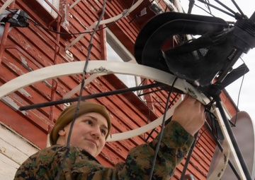 Lance Cpl. Ally Williams; 2nd MLG Warrior of the Week