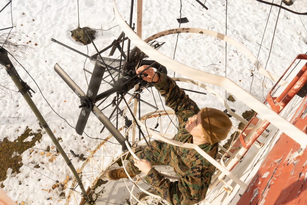 Lance Cpl. Ally Williams; 2nd MLG Warrior of the Week