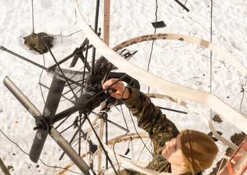 Lance Cpl. Ally Williams; 2nd MLG Warrior of the Week