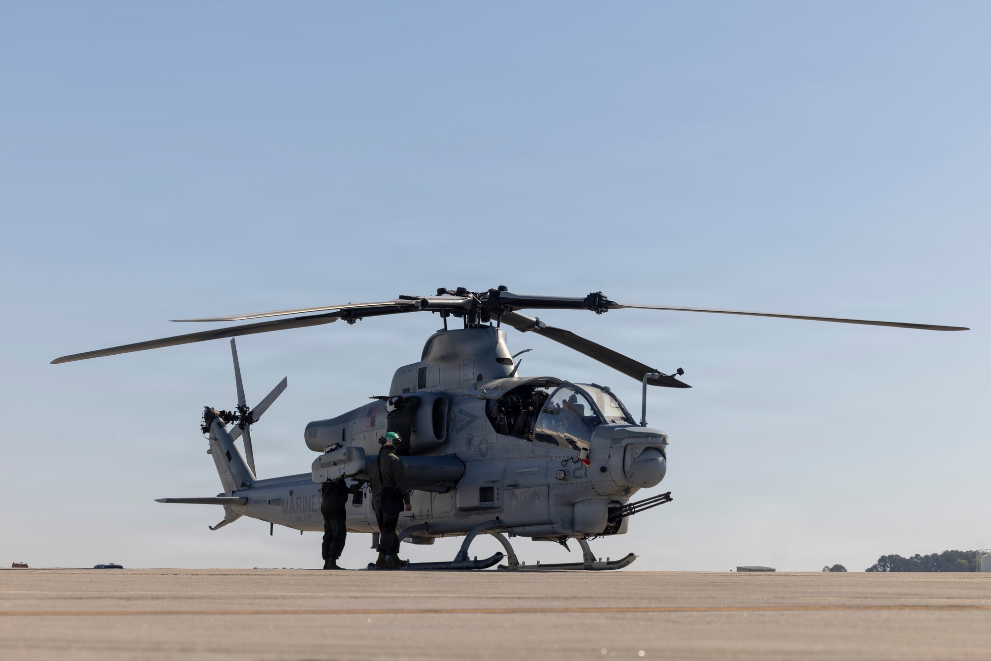 アッカ ベリー DVIDS - Images - HMLA-167 conducts flight operations [Image 7 of 21]