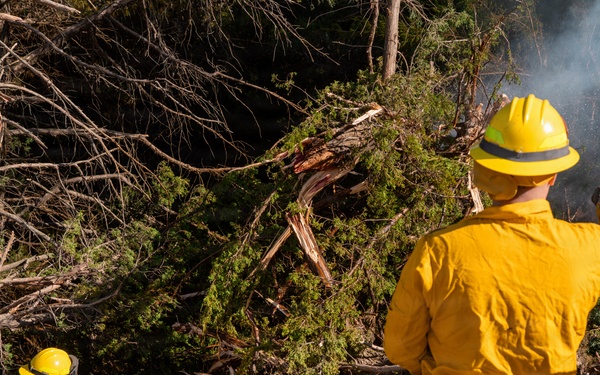Nebraska National Guard responds to wild fires