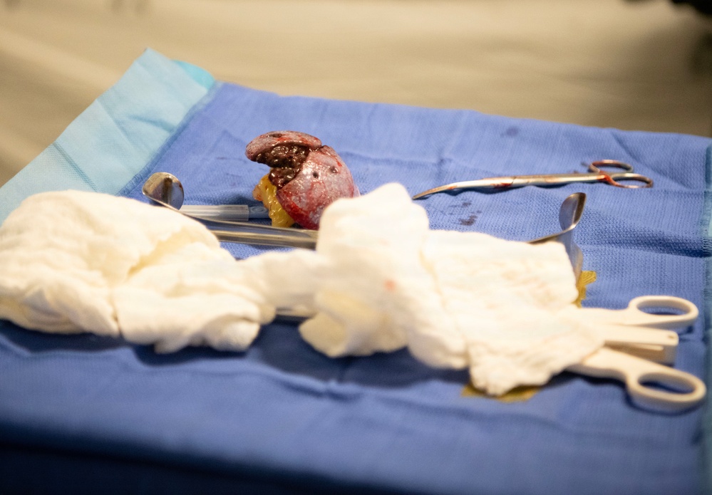 11th Field Hospital Training at Fort McCoy