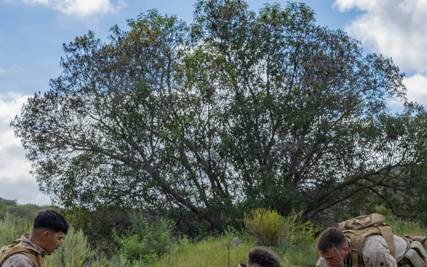 LINE ONE...: Marines with 7th Engineer Support Battalion conduct 9-Line Patrol Exercises