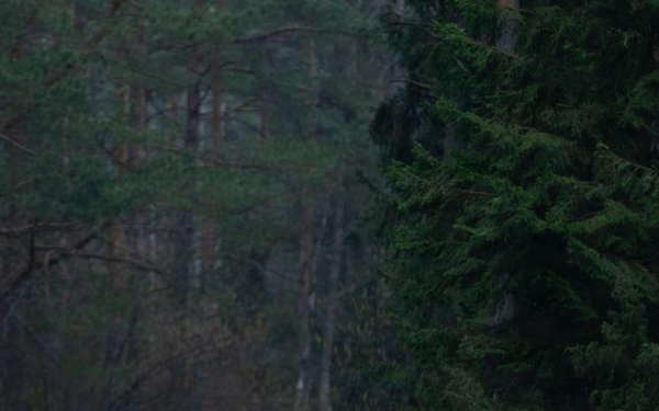 Joint tactical march by U.S. and British forces in Poland