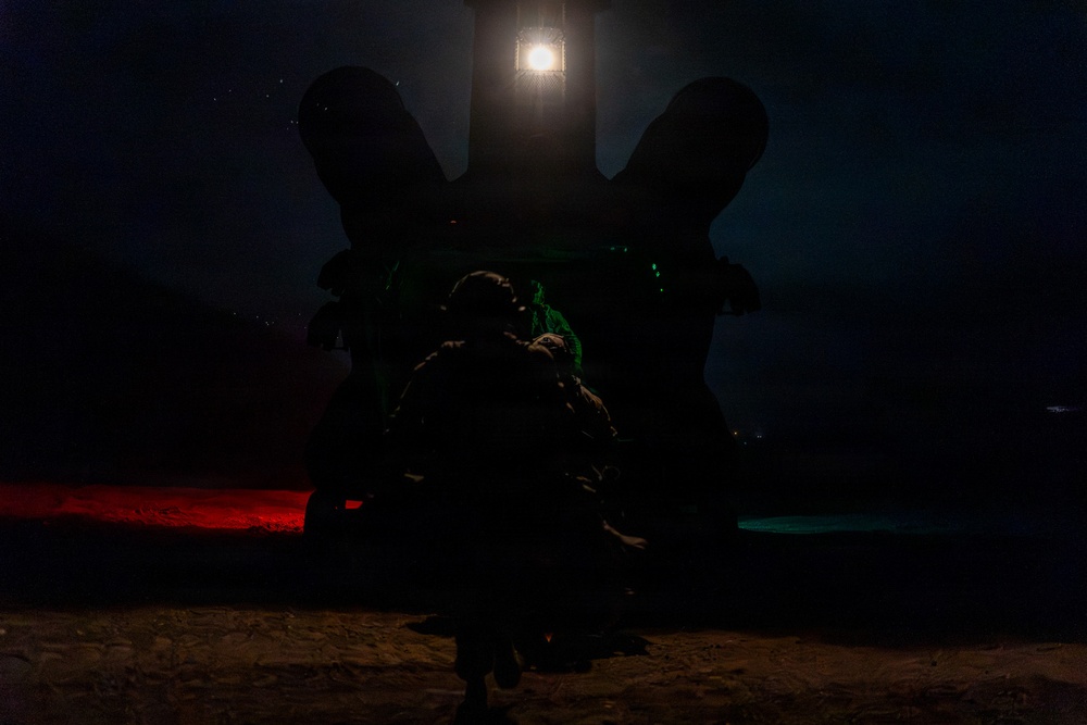 2CAB Conducts Air Assault Operations in Support of Infantry During Freedom Shield