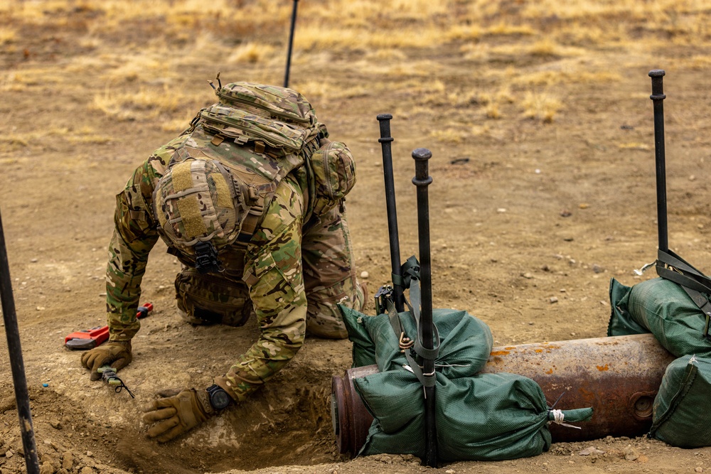 71st EOD Team of the Year (TOY) 2026