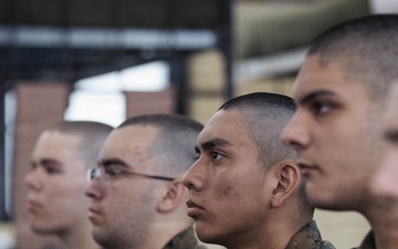 Delta Company Pickup