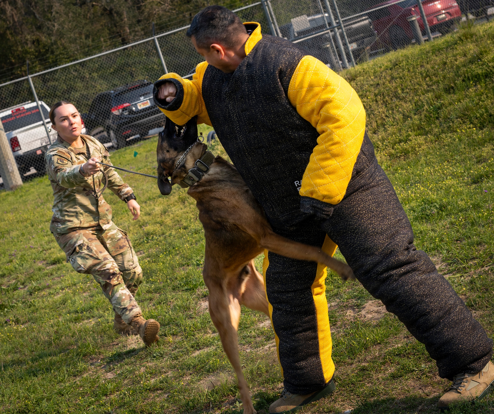 DVIDS - Images - Dog demo afternoon [Image 6 of 6]