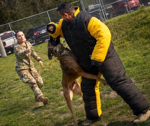 AFN Naples Radio News- Gerald R. Ford Carrier Strike Group Ships Work With ITS Spartaco Schergat (F598) And Belgian National Day Celebrations