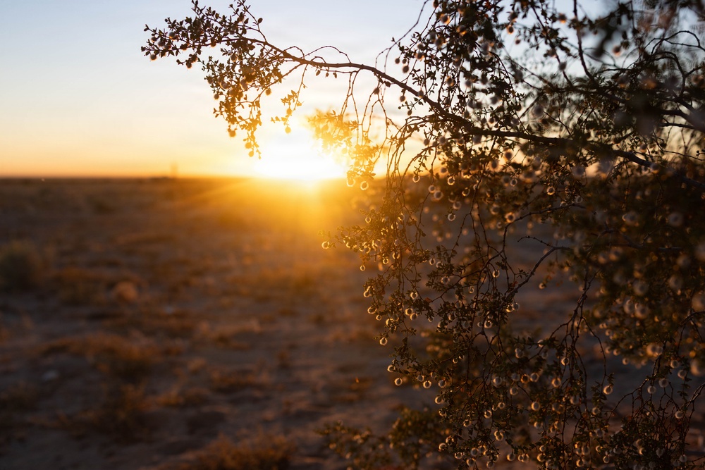 WTI 2-26: FARP Practical Application