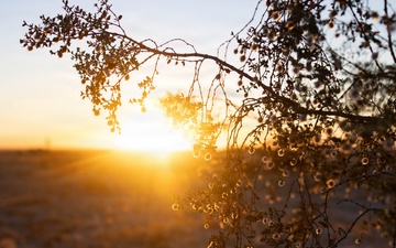 WTI 2-26: FARP Practical Application