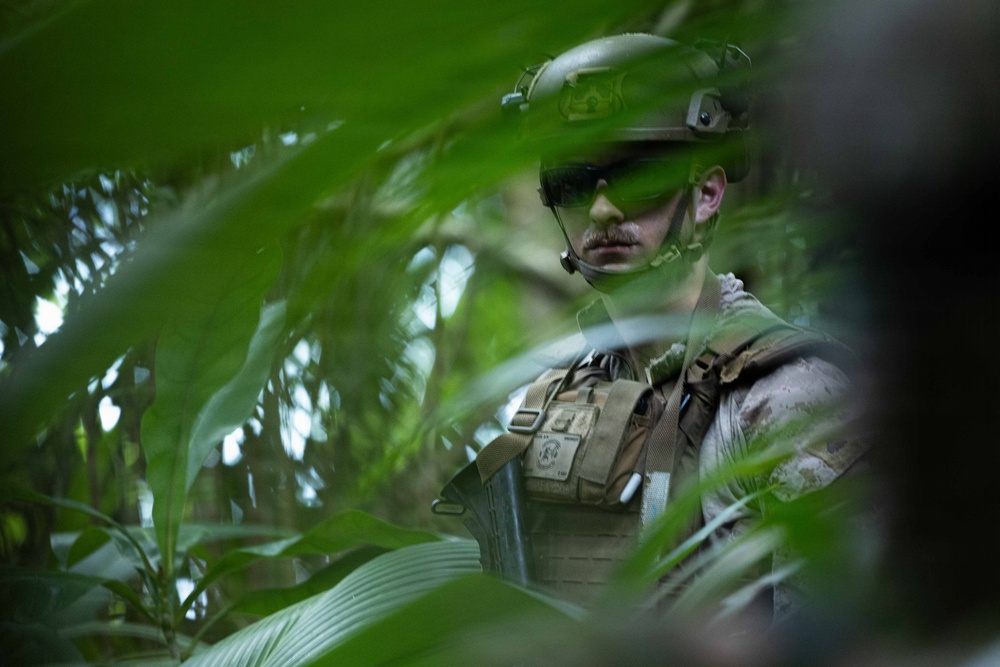 31st MEU | Lima Company conducts a simulated amphibious assault