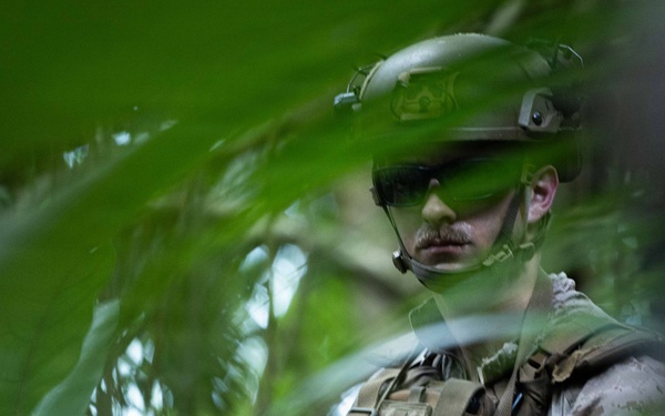 31st MEU | Lima Company conducts a simulated amphibious assault