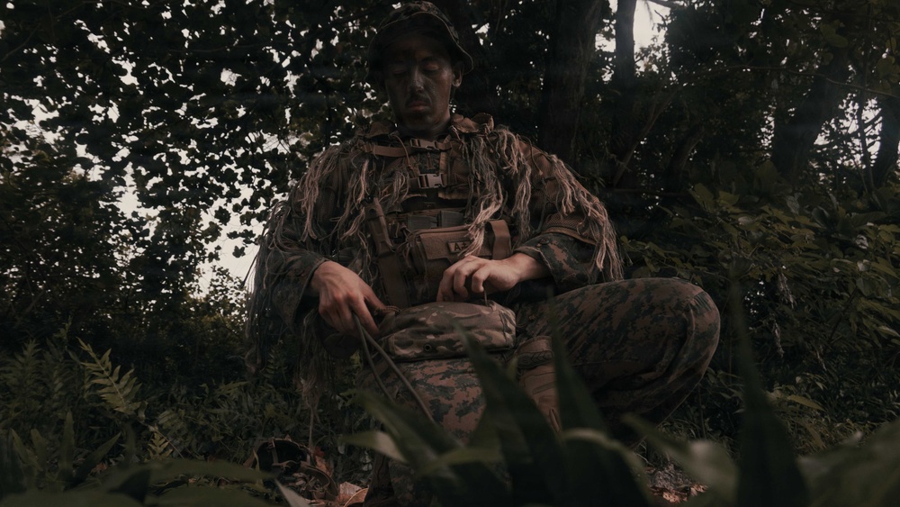 31st MEU | Weapons Company conducts simulated amphibious assault