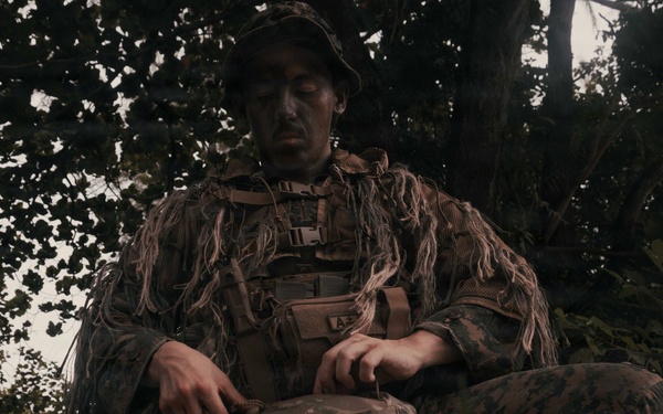 31st MEU | Weapons Company conducts simulated amphibious assault