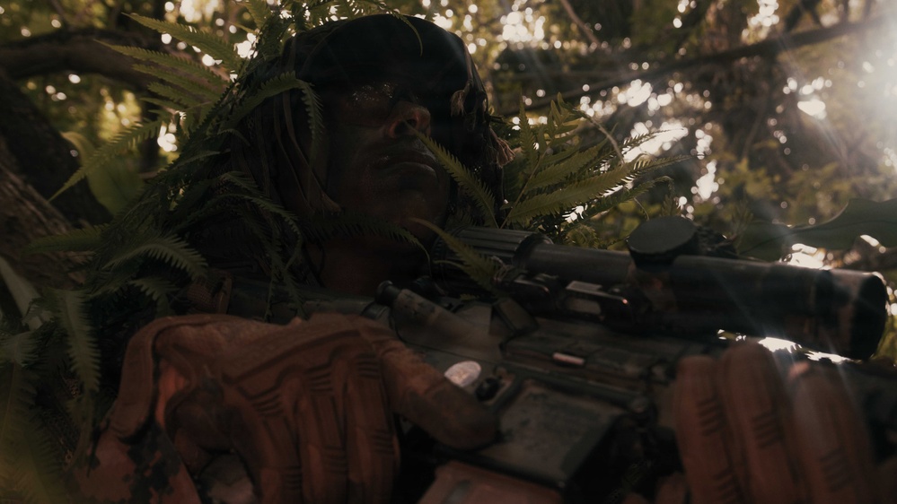 31st MEU | Weapons Company conducts simulated amphibious assault