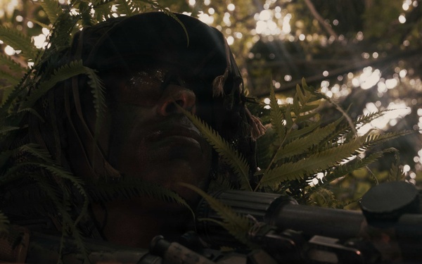 31st MEU | Weapons Company conducts simulated amphibious assault