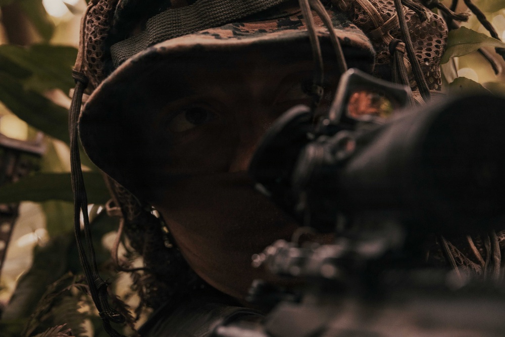 31st MEU | Weapons Company conducts simulated amphibious assault