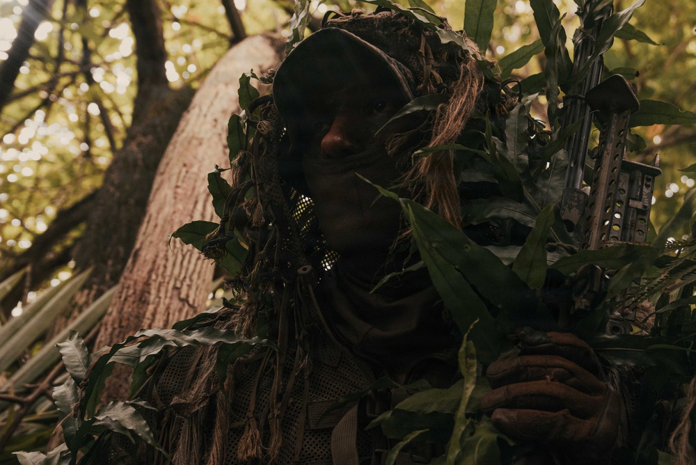 31st MEU | Weapons Company conducts simulated amphibious assault