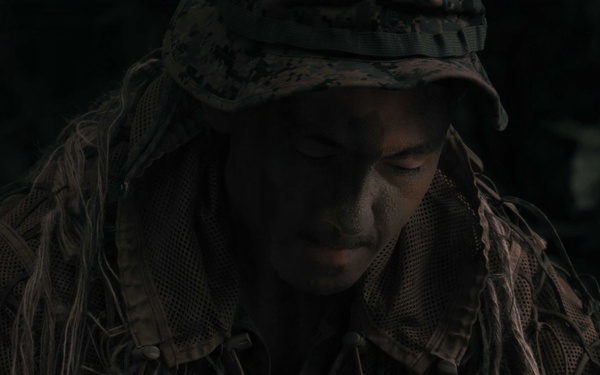 31st MEU | Weapons Company conducts simulated amphibious assault