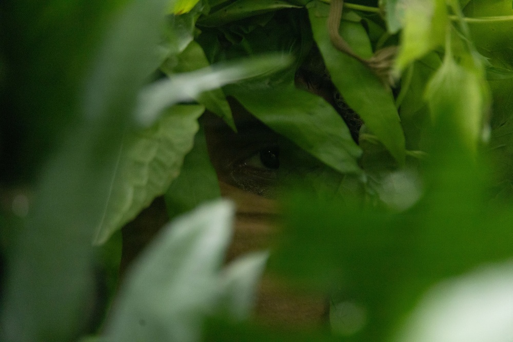 31st MEU | Lima Company conducts a simulated amphibious assault