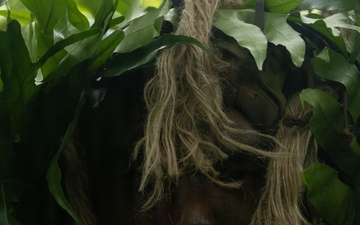 31st MEU | Lima Company conducts a simulated amphibious assault