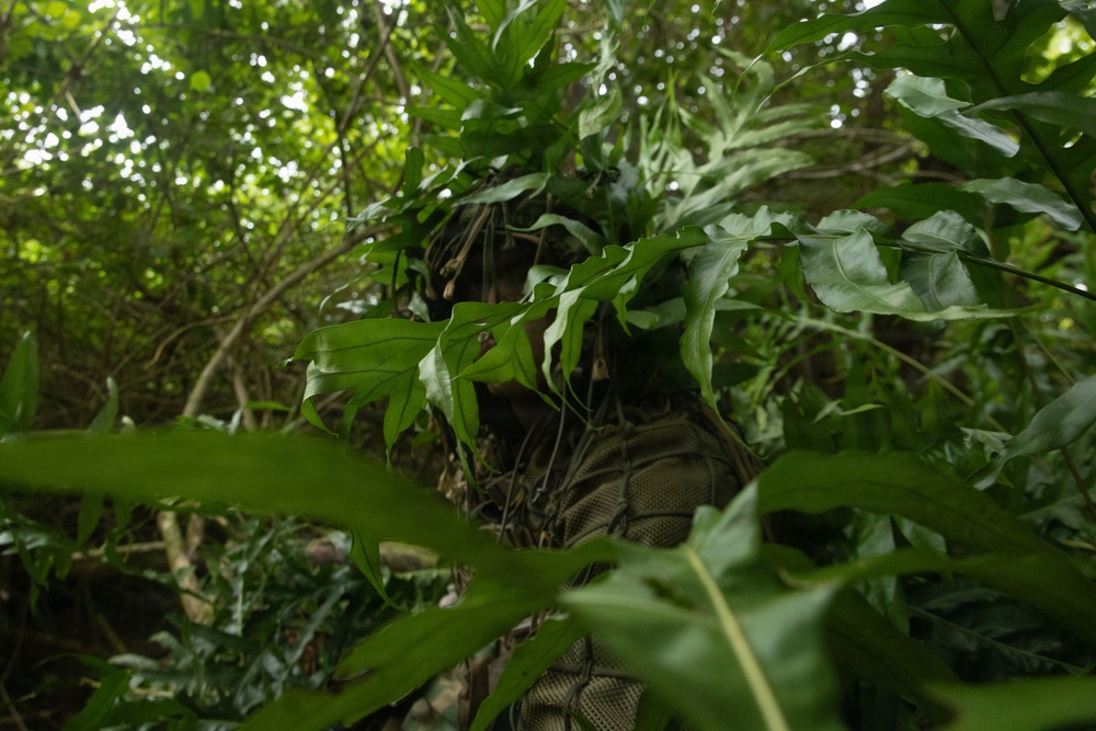 31st MEU | Lima Company conducts a simulated amphibious assault