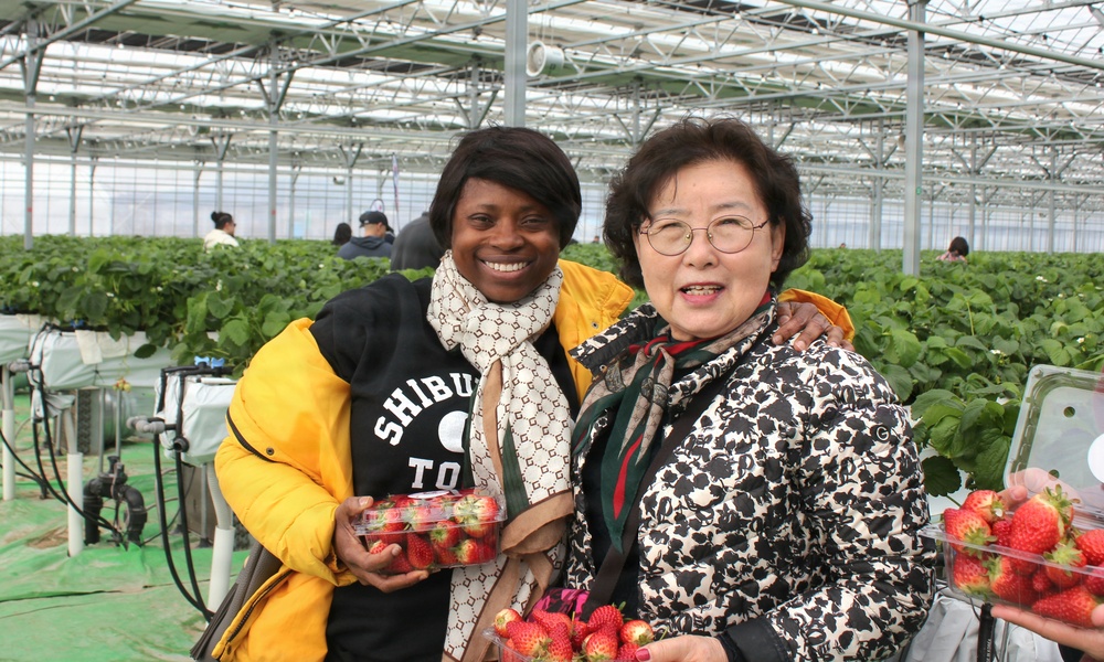 Humphreys community springs ahead with cultural tour of Cheonan